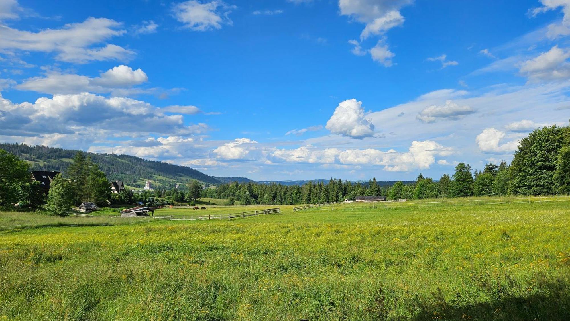 Kalinowka Koscielisko Apartment ภายนอก รูปภาพ