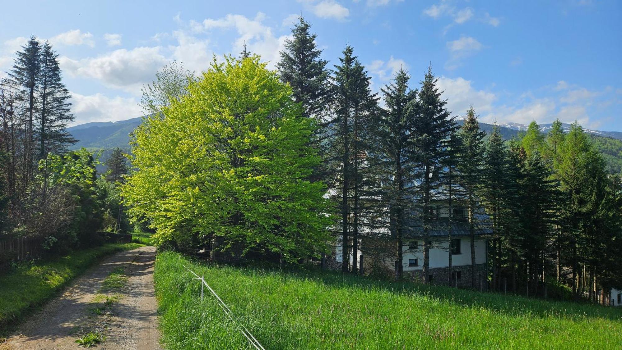 Kalinowka Koscielisko Apartment ภายนอก รูปภาพ